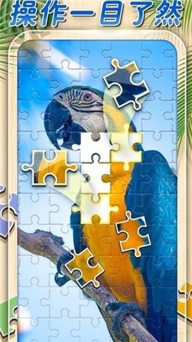 一起拼拼图 1.00 安卓版