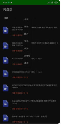 阿盘搜 1.0 安卓版