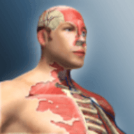 人体模型模拟器中文版 1.9.3 安卓版