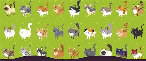 喵喵餐厅的奇迹 1.0.9 安卓版