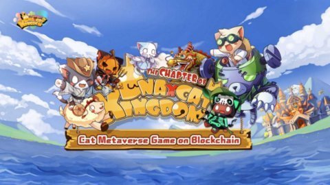 九藏猫 0.8.0 安卓版