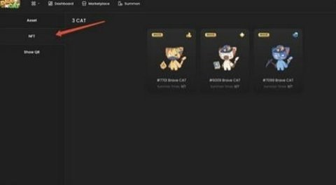 九藏猫 0.8.0 安卓版