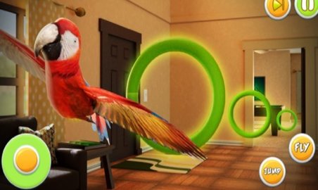 宠物鹦鹉模拟器 1.2 安卓版