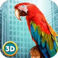 宠物鹦鹉模拟器 1.2 安卓版