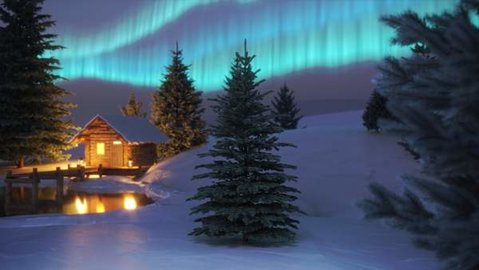 装饰圣诞树 Release 安卓版