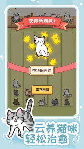 解压猫咪 1.0.0 安卓版