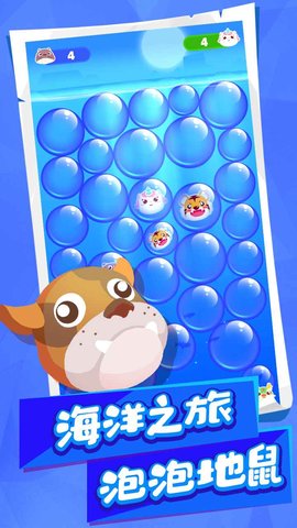 动物碰碰乐 0.6 安卓版