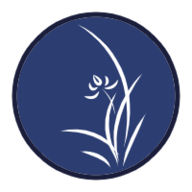 壁纸湖 1.2 安卓版