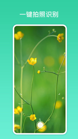 拍照识别君 1.0.1 安卓版