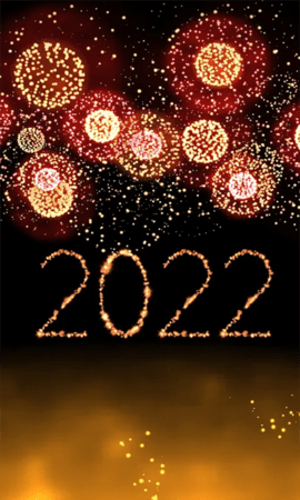 新年烟花模拟器 1.1 安卓版