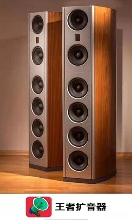王者扩音器 1.0.1 安卓版