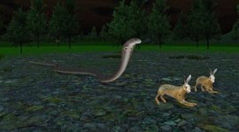 黄金蟒蛇模拟器 1.2.1 安卓版