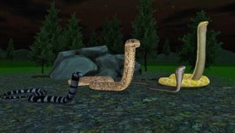 黄金蟒蛇模拟器 1.2.1 安卓版