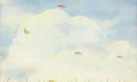 风子 1.5.9 安卓版