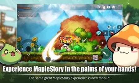 枫之谷M台服 1.7400.3010 安卓版