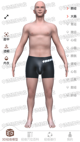 中济经络穴位 2.6.8 安卓版