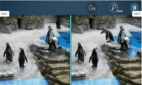 找茬之王 1.4.4 安卓版