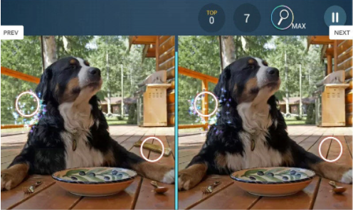 找茬之王 1.4.4 安卓版