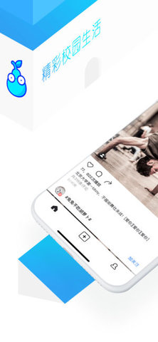 呆梨app 1.0.00 安卓版
