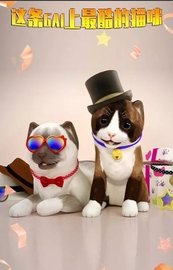 寻找喵星人 1.0.2 安卓版