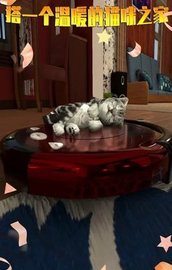 寻找喵星人 1.0.2 安卓版