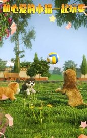 寻找喵星人 1.0.2 安卓版