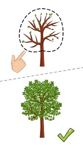 这题太难了 1.0.1