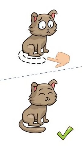 这题太难了 1.0.1