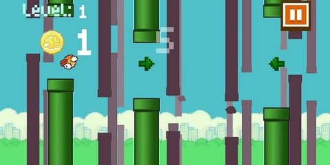 不一样的笨鸟 2.0.0