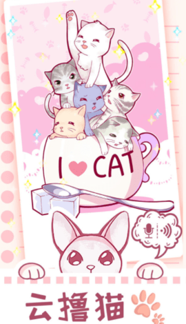 云撸猫咪 1.0