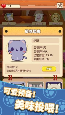 养只大肥猫 1.0