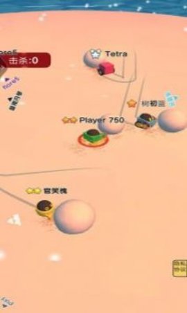 雪地作战大乱斗 1.0