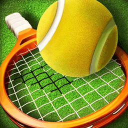 球场大比拼 1.0 安卓版