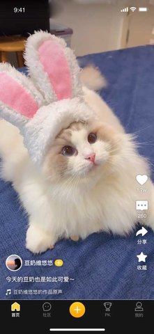 绒语 v1.6.1 安卓版