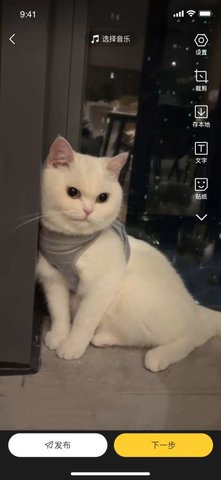 绒语 v1.6.1 安卓版