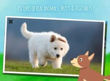 农场动物们(Farm animals) 1.3.2