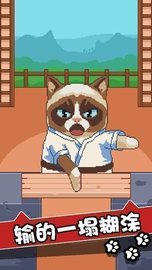 不爽猫史上最差游戏 v1.5.8