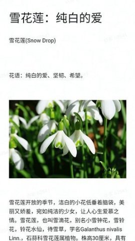 神农百草经 v1.0.1 安卓版