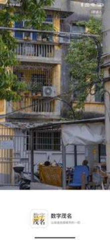 数字茂名 v1.8.0 安卓版