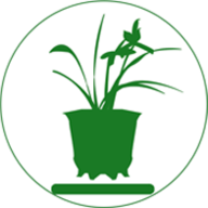 一花草 v1.0.0 安卓版