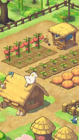 红颜九州 1.0.1 安卓版