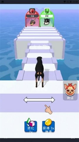 动物变身对决 0.0.1