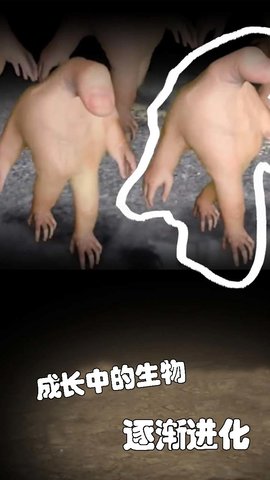 小小手指进化之路 1.0.8 安卓版