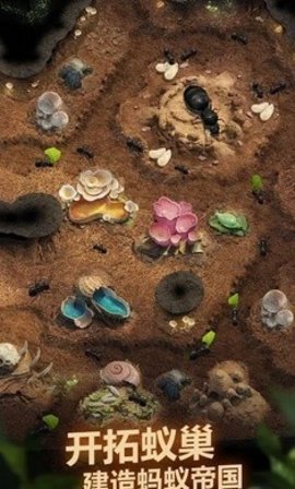 蚂蚁地下王国 1.0.2 安卓版