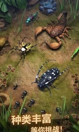 蚂蚁地下王国 1.0.2 安卓版