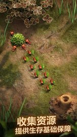 蚂蚁地下王国模拟器(The Ants) v1.22.0 安卓版