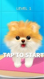 宠物修个毛 v1.0 安卓版