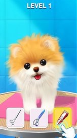 宠物修个毛 v1.0 安卓版