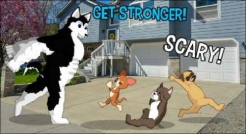 卡通斗狗大战(Cartoon Fight: Dogs War) 4 安卓版