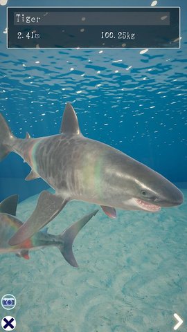 鲨鱼海洋（Shark） 1.1.0 安卓版